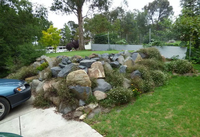 ホテル Tenterfield Lodge Caravan Park