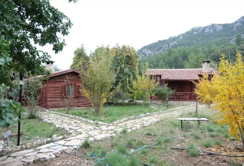 Antalya Bodrum Kayası Dağ Oteli