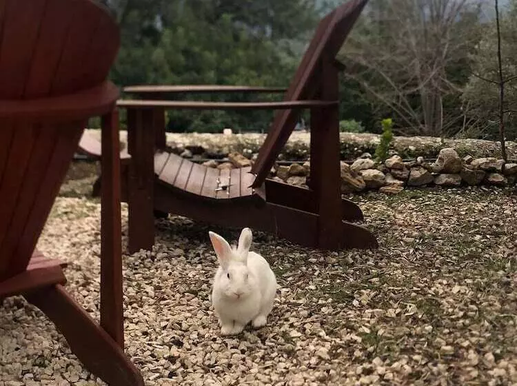 Antalya Bodrum Kayası Dağ Oteli