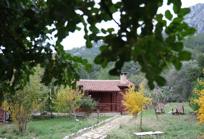 Antalya Bodrum Kayası Dağ Oteli