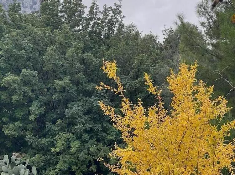 Antalya Bodrum Kayası Dağ Oteli