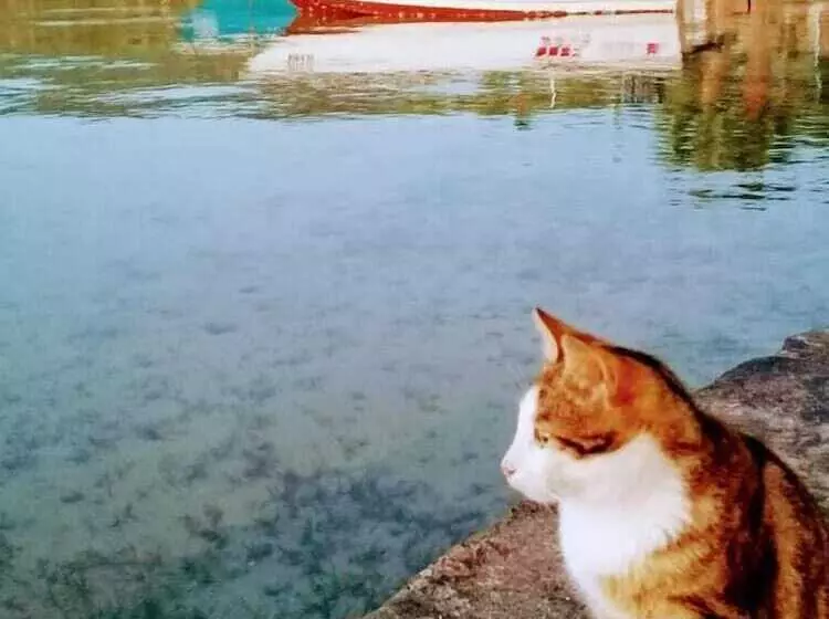 Antique İasos Butik Otel