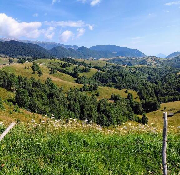 Отель Vila Luca