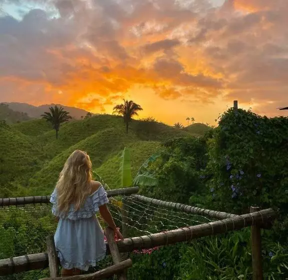 The Valley Tayrona Hostel  A Social Jungle Hostel