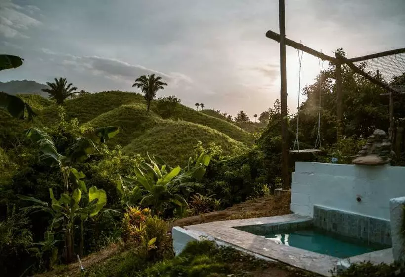 The Valley Tayrona Hostel  A Social Jungle Hostel