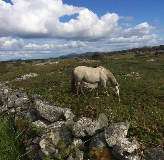 ペンション Faul House