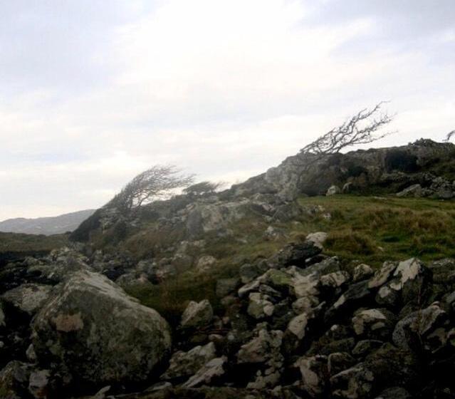 بنسيون Faul House