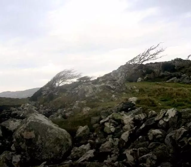 ペンション Faul House