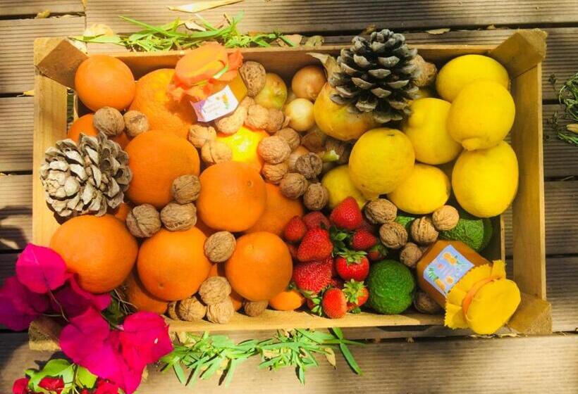 פנסיון Quinta Infantes De Santa Maria