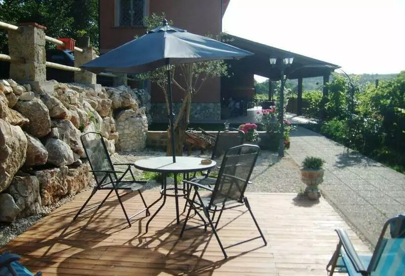 Grappoloduva B&b