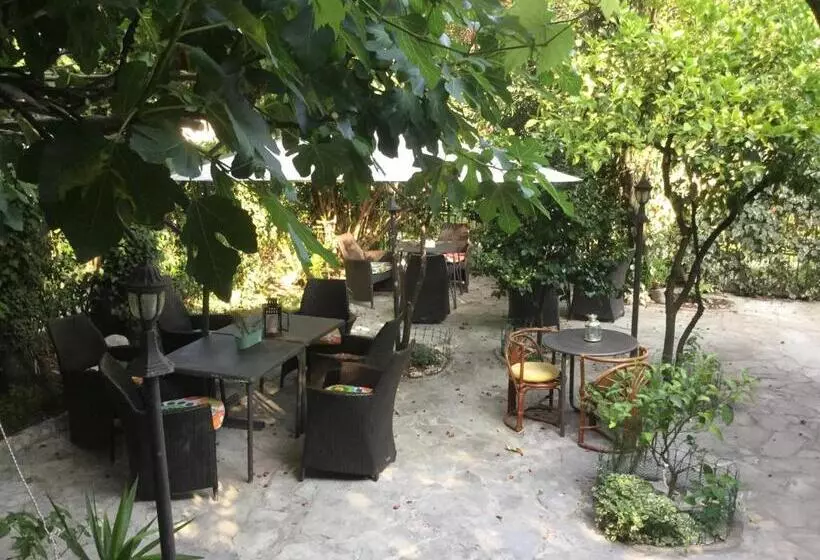 پانسیون Guest House Villa Kosa