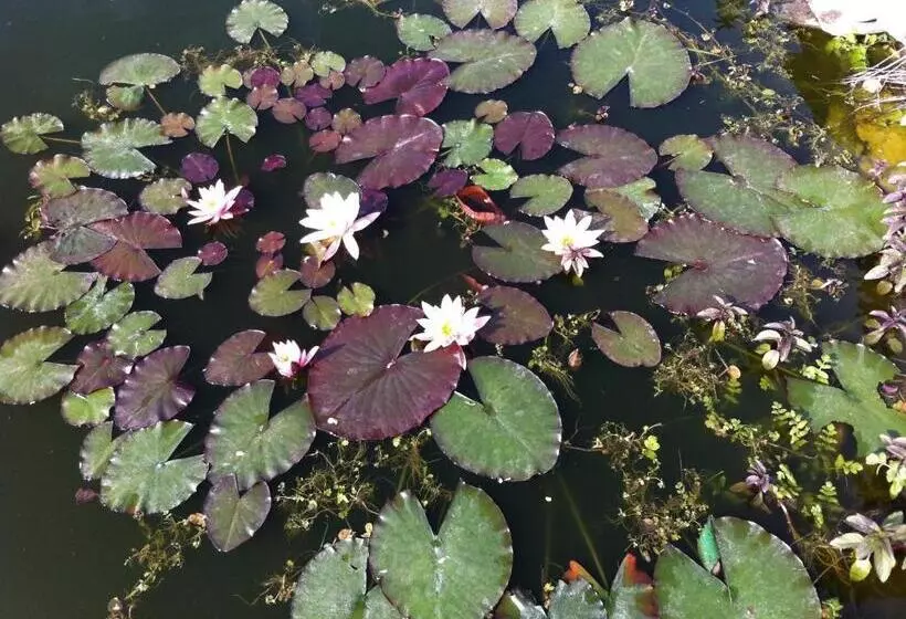 Majatalo Penzión One