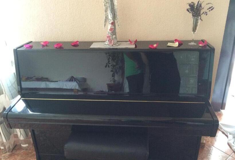 بنسيون Penzión One