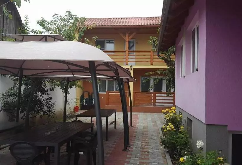 Pensjonat Casa Cu Butoi