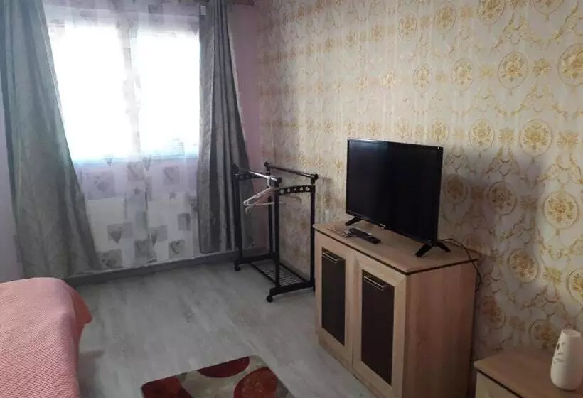 Pensjonat Casa Cu Butoi