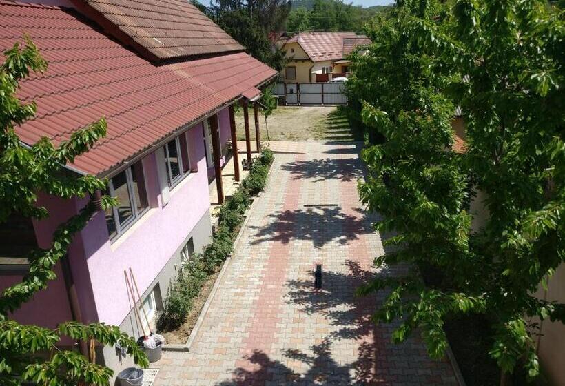 Pensão Casa Cu Butoi