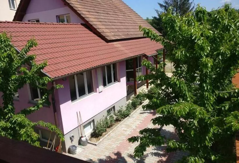 Pensjonat Casa Cu Butoi