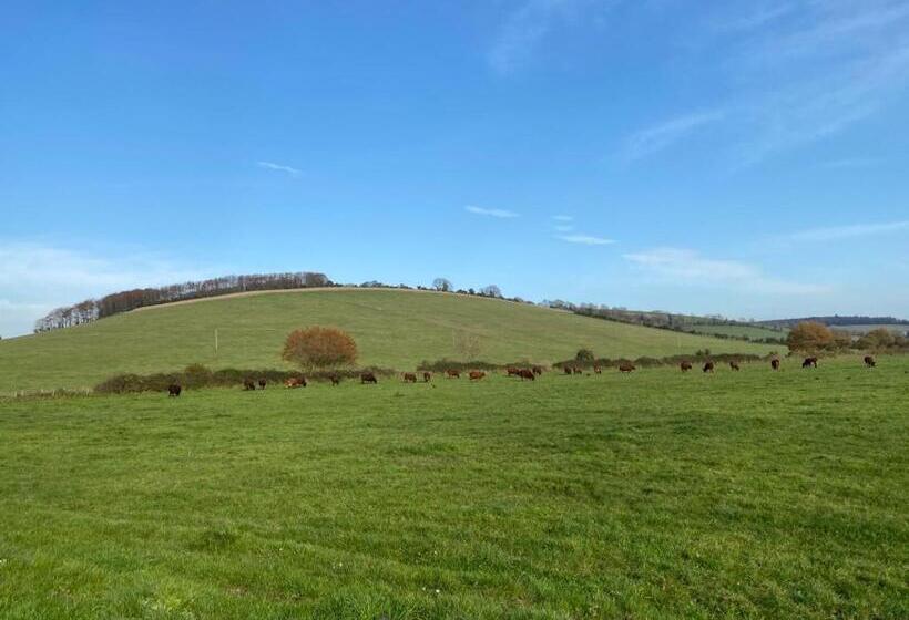 Bed and Breakfast Charlton End   Goodwood Events