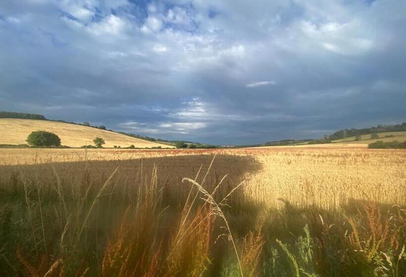 Bed and Breakfast Charlton End   Goodwood Events