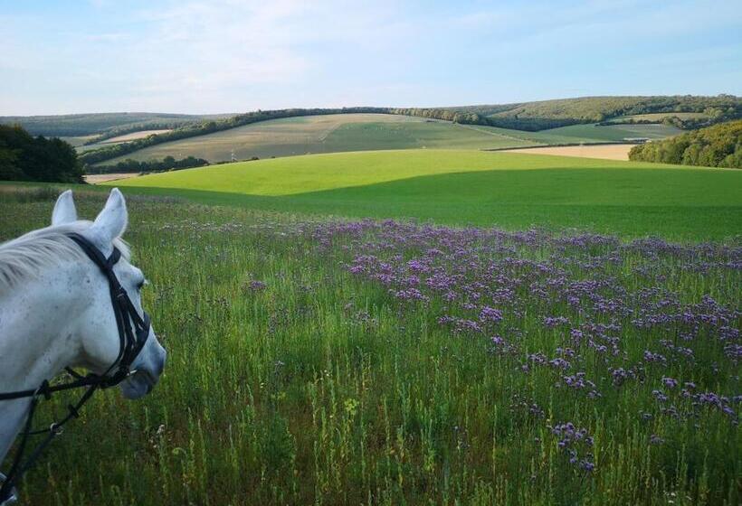 Bed and Breakfast Charlton End   Goodwood Events