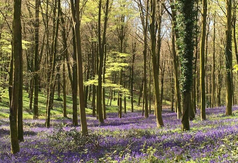 Bed and Breakfast Charlton End   Goodwood Events