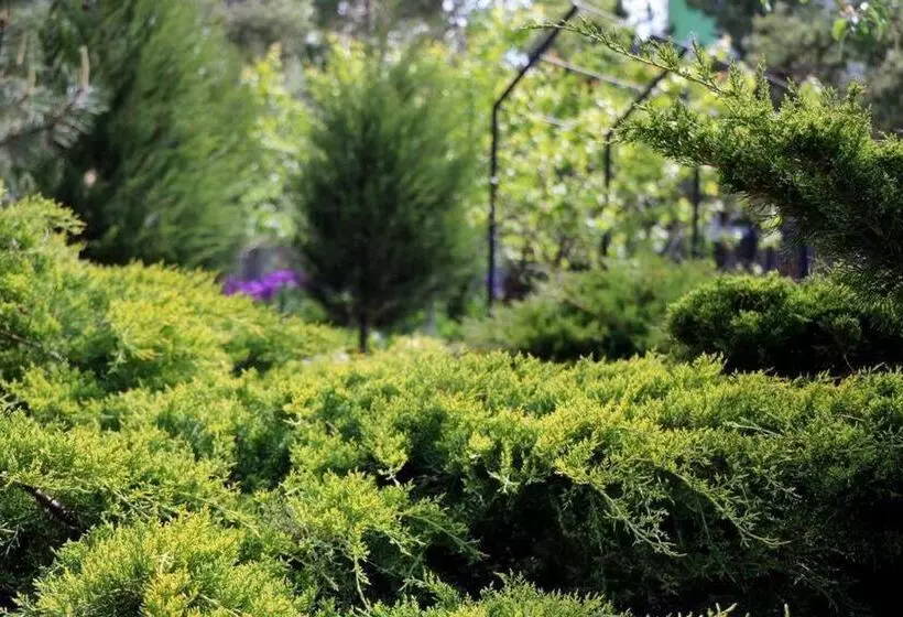 ホテル ассоль