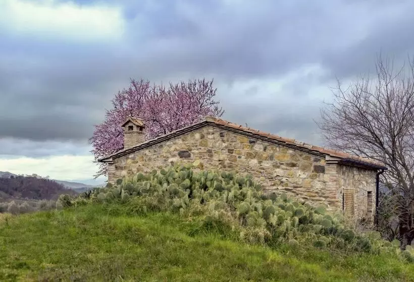 ホテル Agriturismo Le Canterie