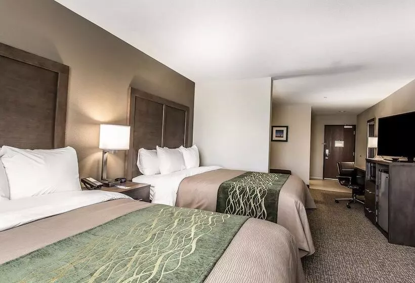 ホテル Comfort Inn & Suites Snyder