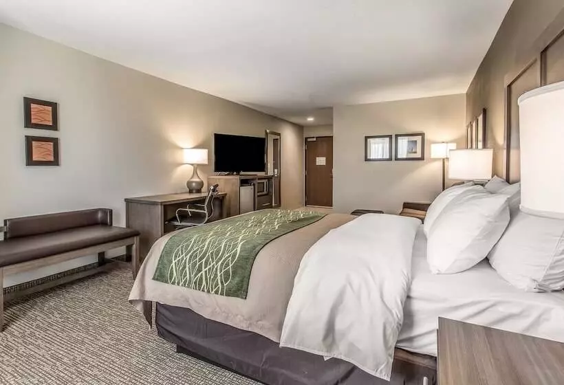 ホテル Comfort Inn & Suites Snyder