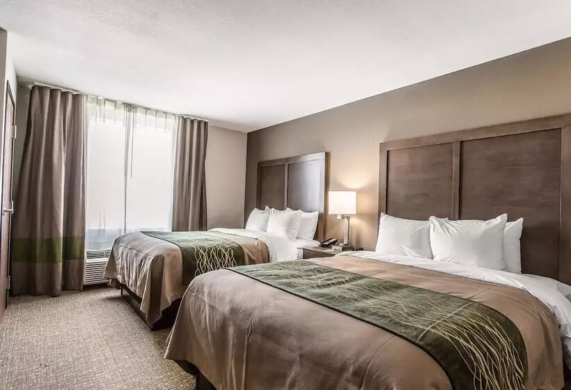ホテル Comfort Inn & Suites Snyder