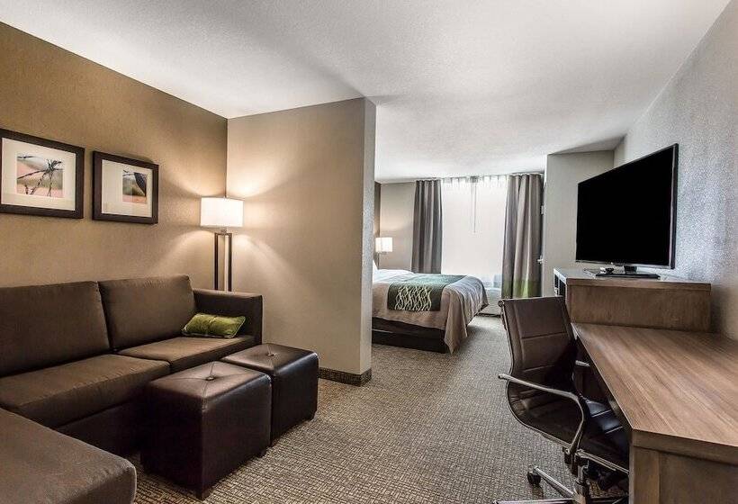 בית מלון כפרי Comfort Inn & Suites Snyder