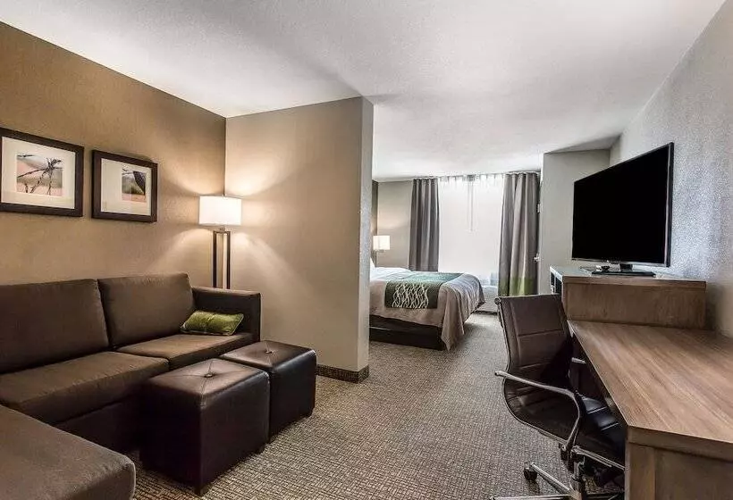 ホテル Comfort Inn & Suites Snyder