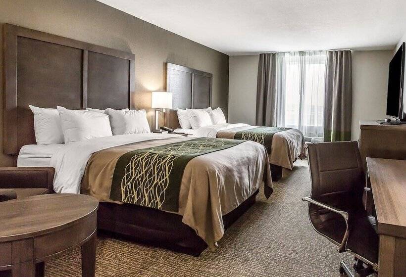 בית מלון כפרי Comfort Inn & Suites Snyder