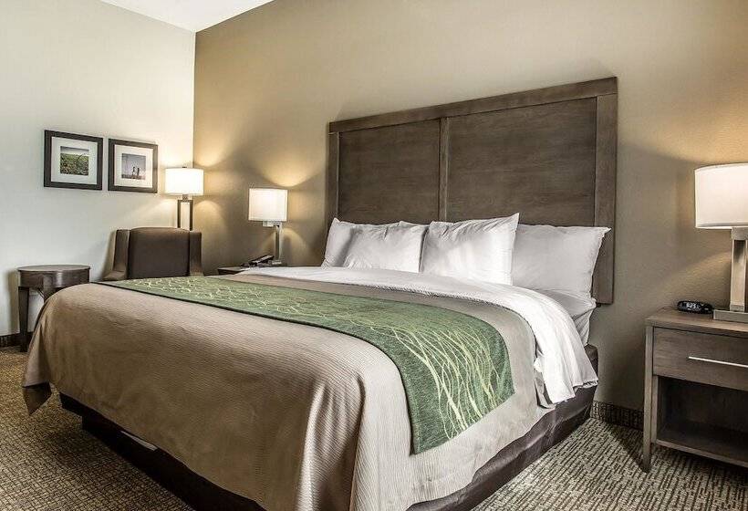 בית מלון כפרי Comfort Inn & Suites Snyder