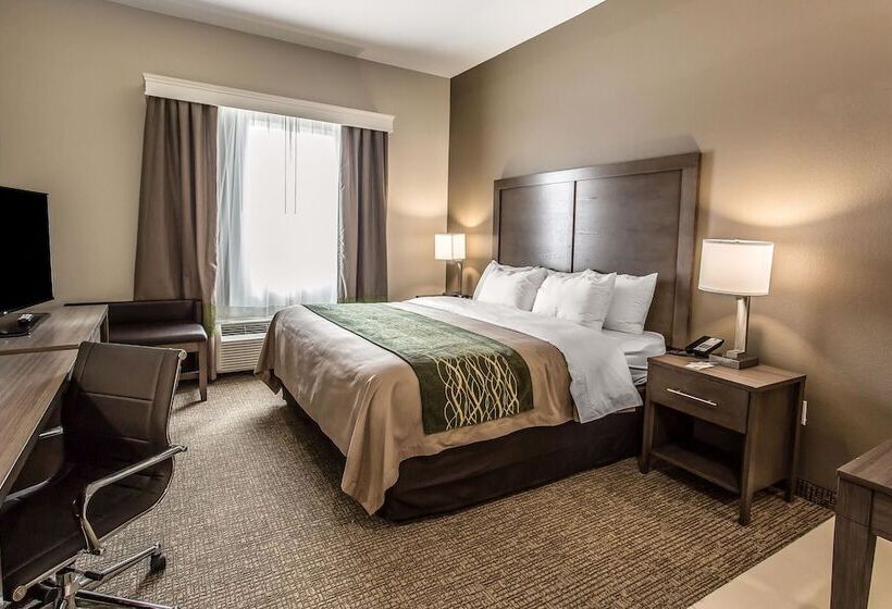 בית מלון כפרי Comfort Inn & Suites Snyder