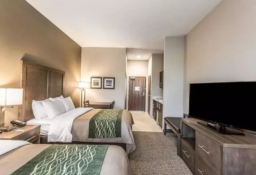 ホテル Comfort Inn & Suites Snyder