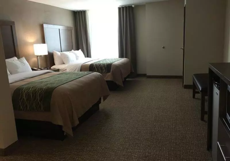ホテル Comfort Inn & Suites Snyder