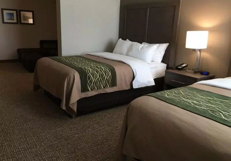 ホテル Comfort Inn & Suites Snyder