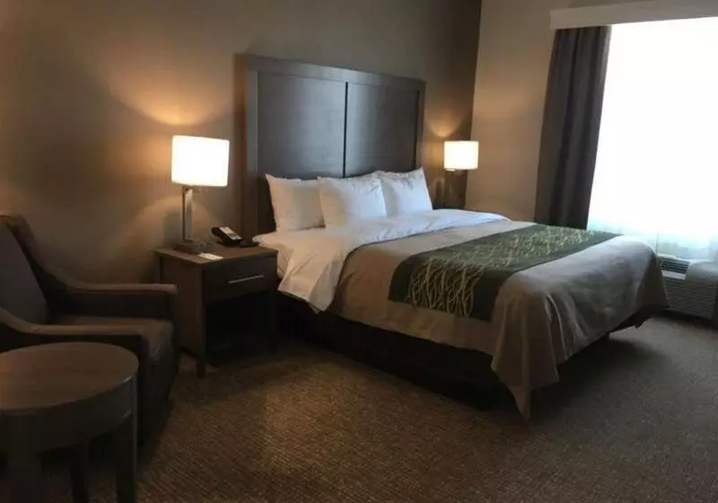 ホテル Comfort Inn & Suites Snyder