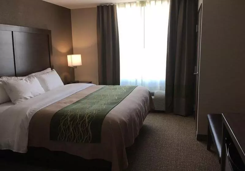 ホテル Comfort Inn & Suites Snyder