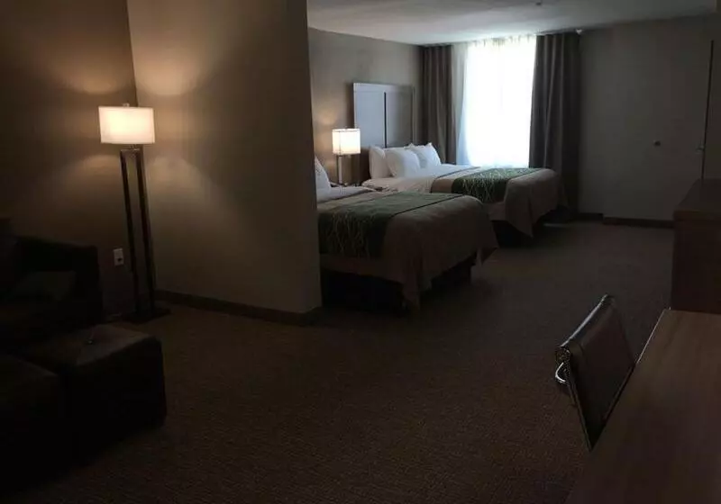 ホテル Comfort Inn & Suites Snyder