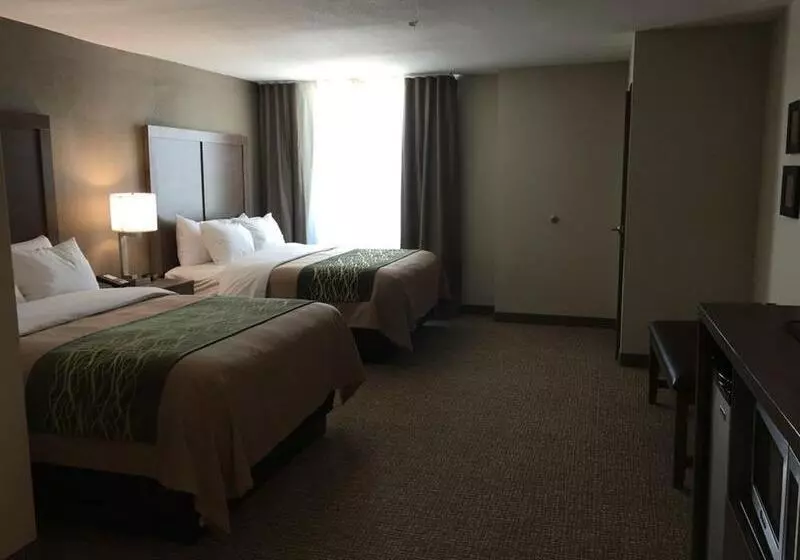 ホテル Comfort Inn & Suites Snyder