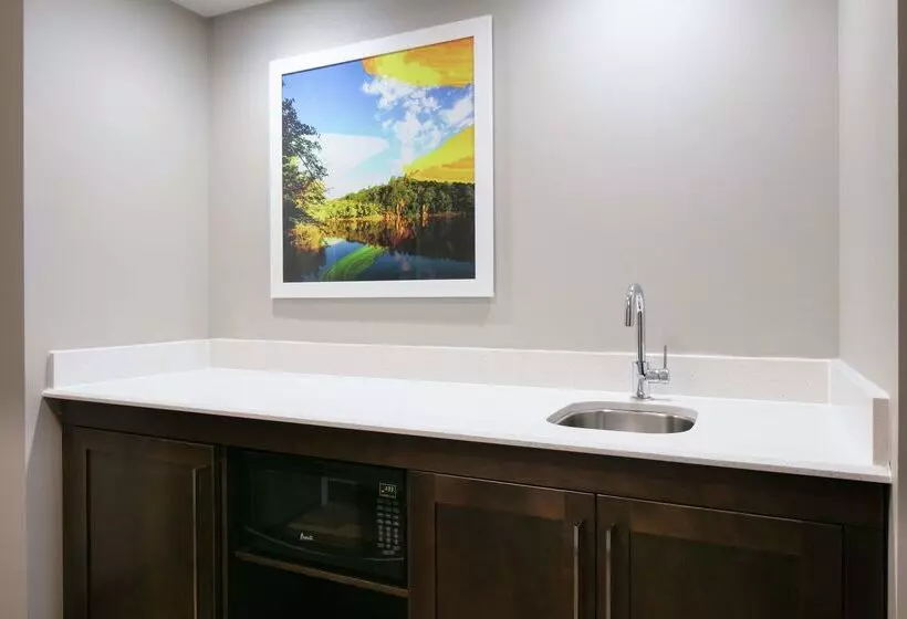 ホテル Hampton Inn & Suites Hudson