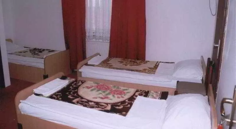 هتل Ljubicevski Raj