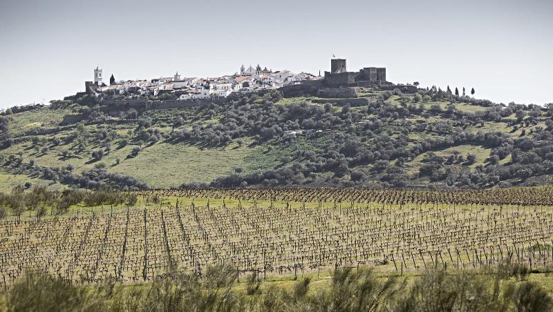 فندق São Lourenço Do Barrocal
