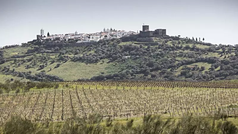 ホテル São Lourenço Do Barrocal