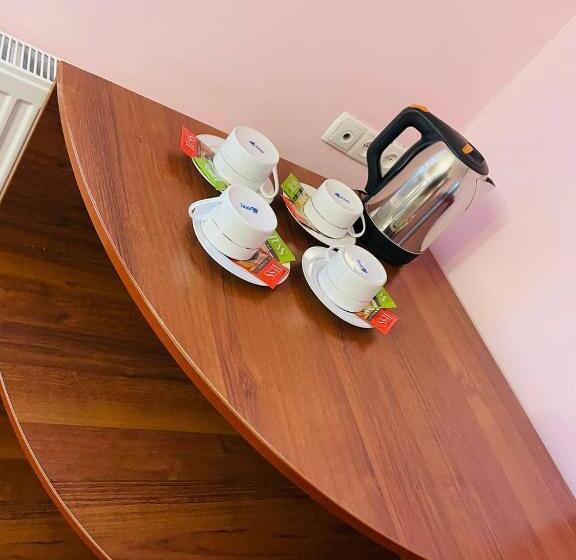 בית מלון כפרי Chor Minor