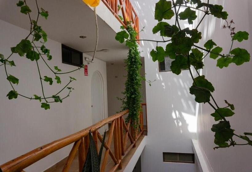 ホテル El Gamonal   Paracas