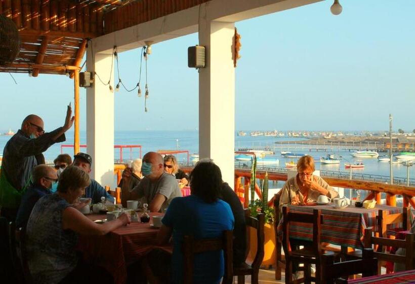 ホテル El Gamonal   Paracas