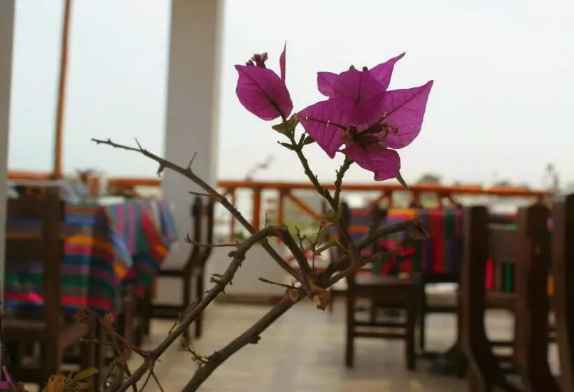 Hotelli El Gamonal Paracas